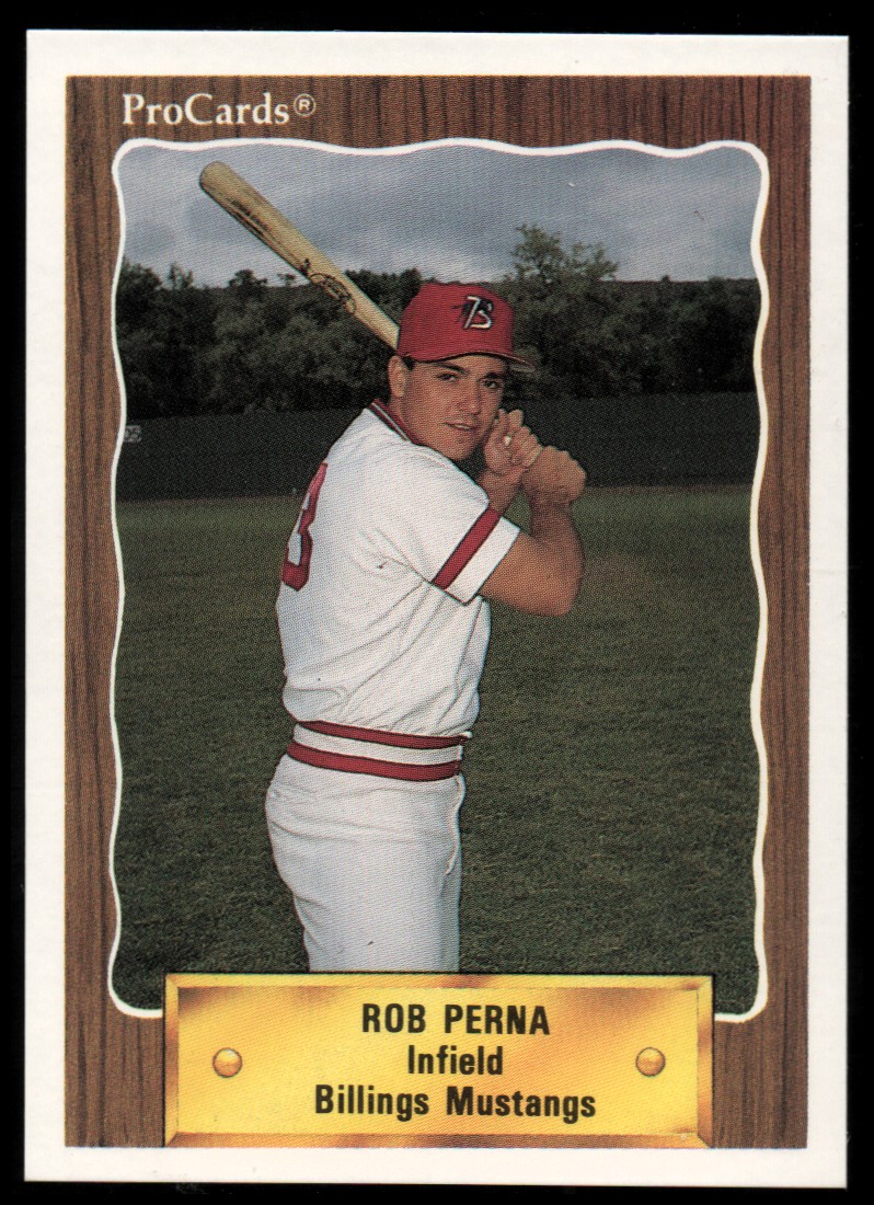  Bobby Perna player image