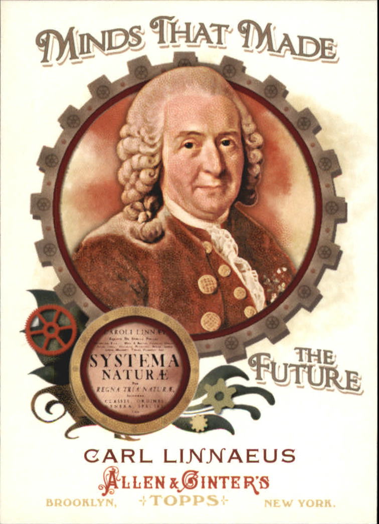  Carl Linnaeus player image