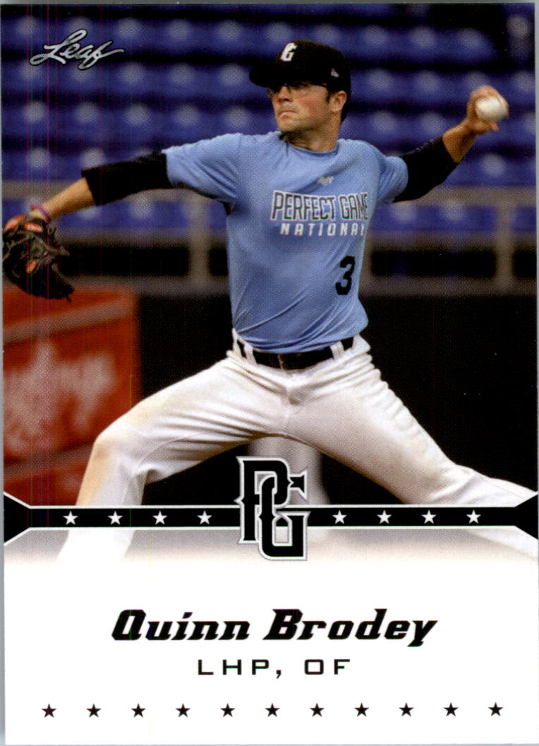  Quinn Brodey player image