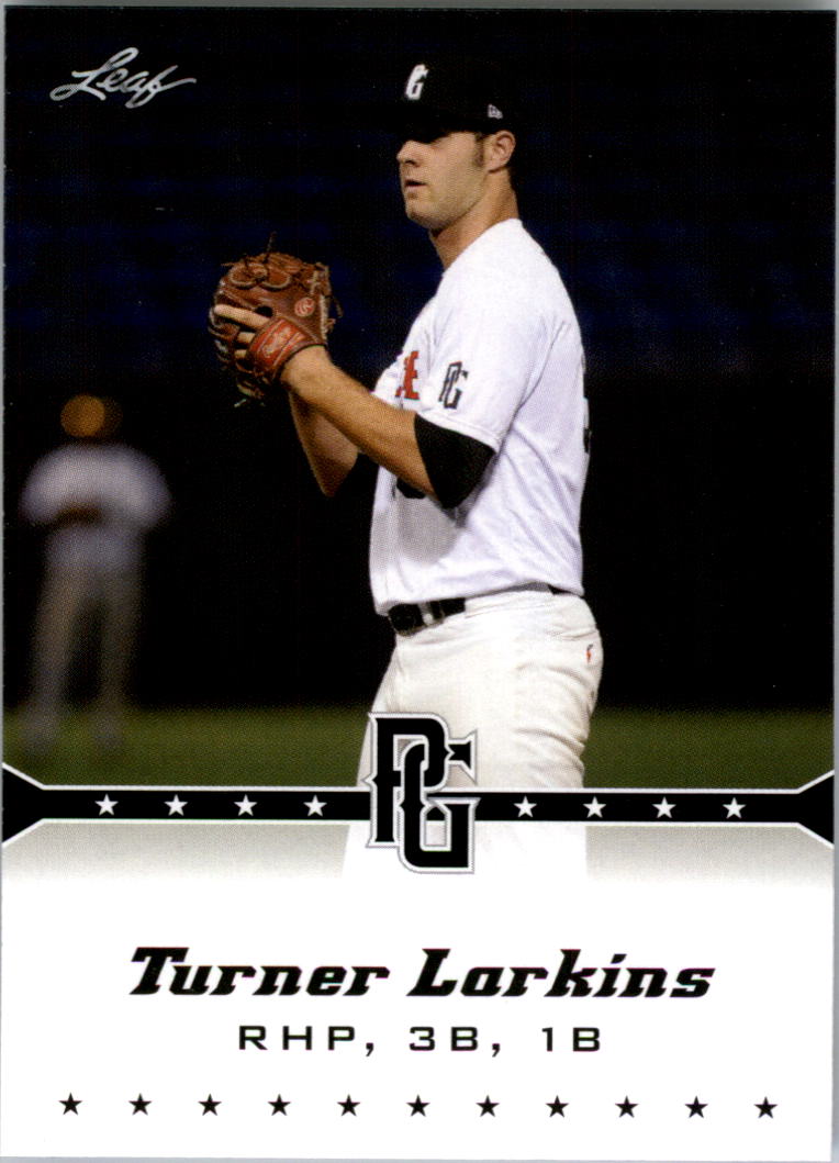  Turner Larkins player image