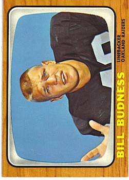  Bill Budness player image