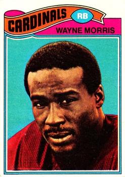  Wayne Morris player image