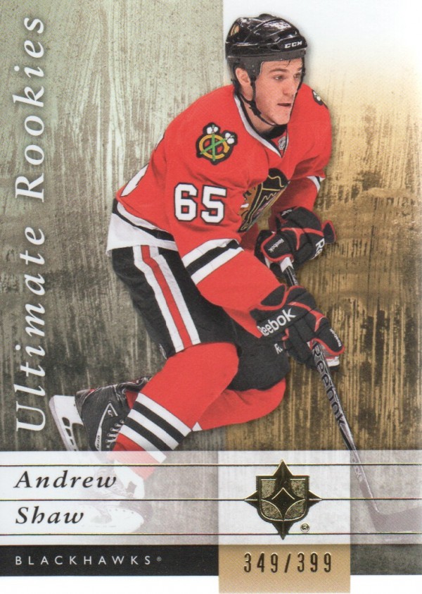  Andrew Shaw player image