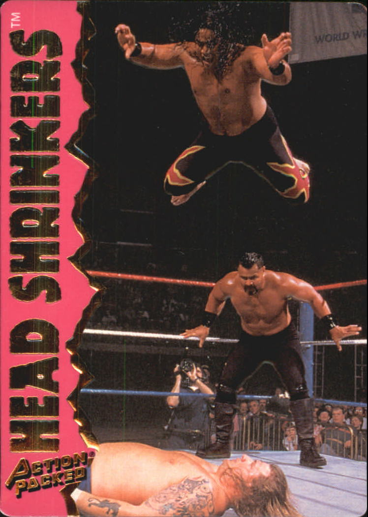  The Headshrinkers (tag team) player image