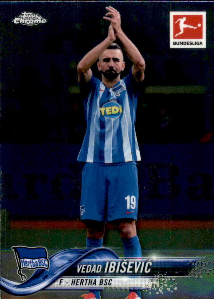  Vedad Ibisevic player image