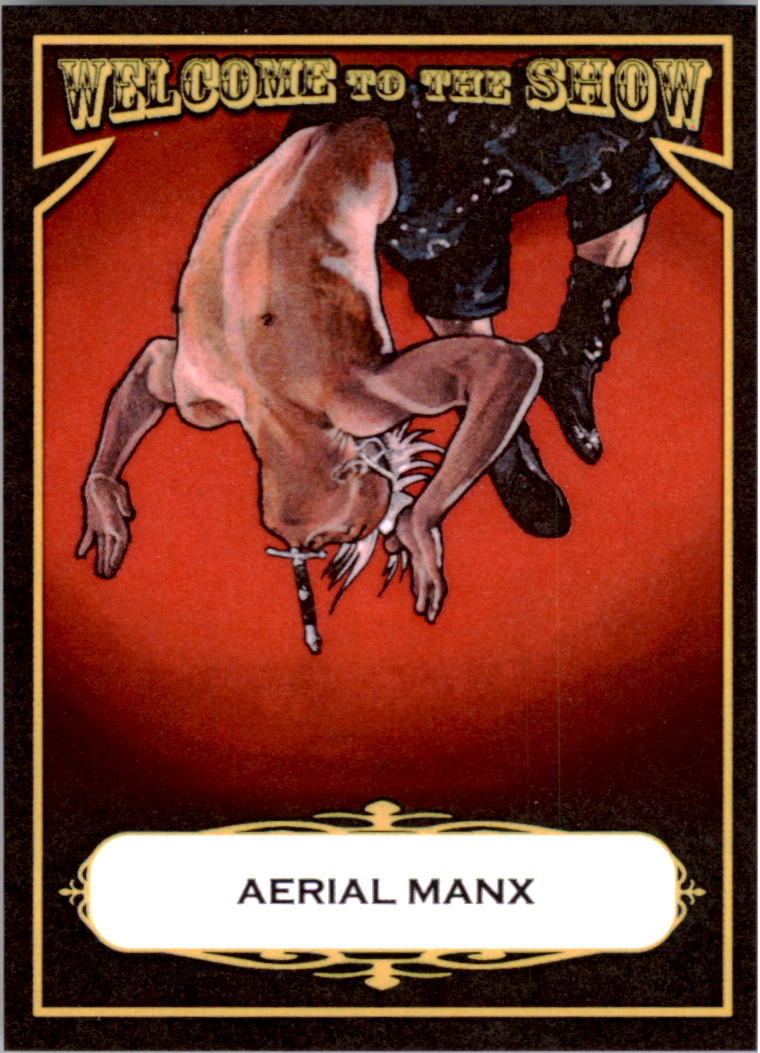  Aerial Manx player image
