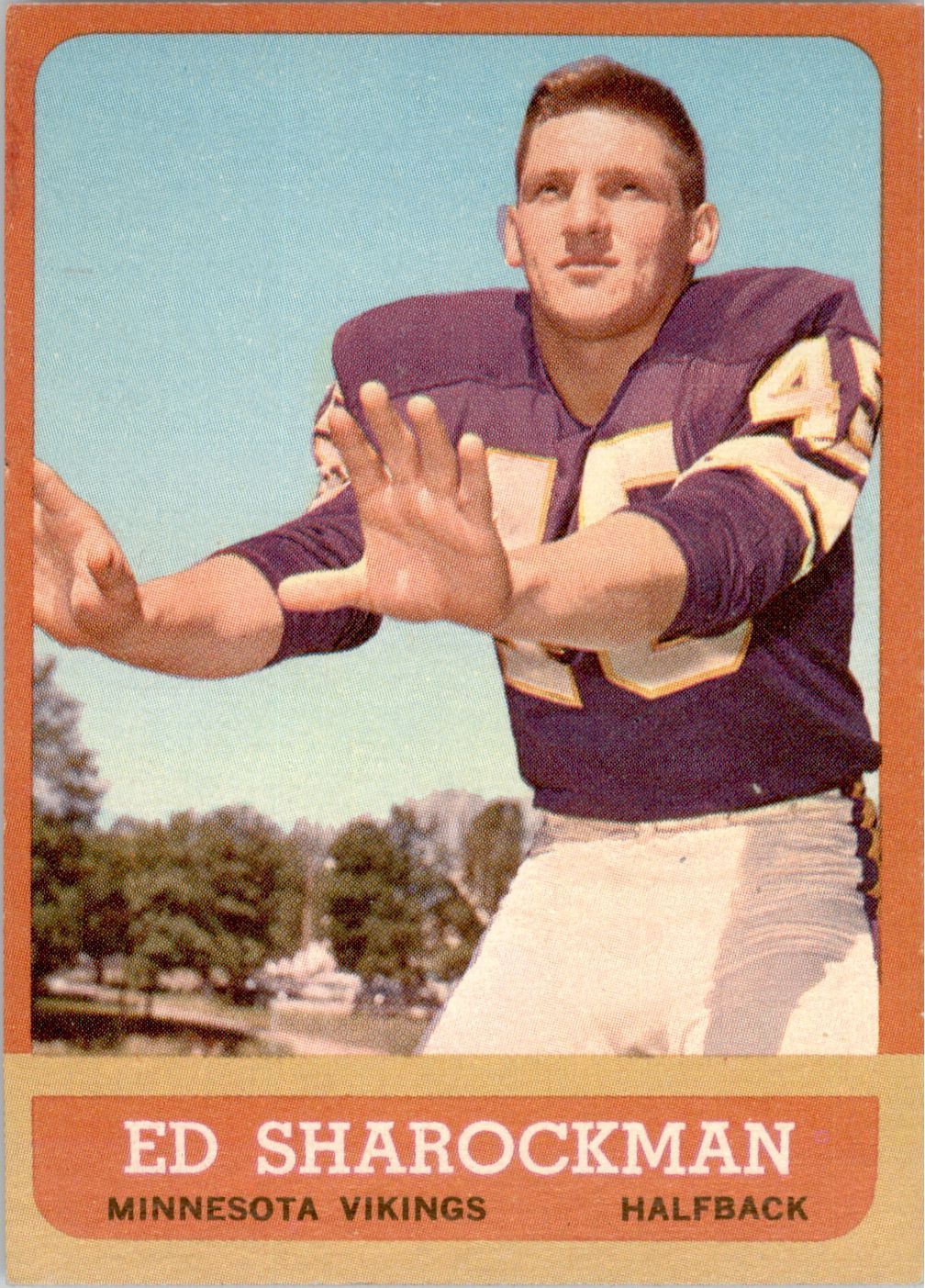 1965P Ed Sharockman Minnesota Vikings – RetroCards