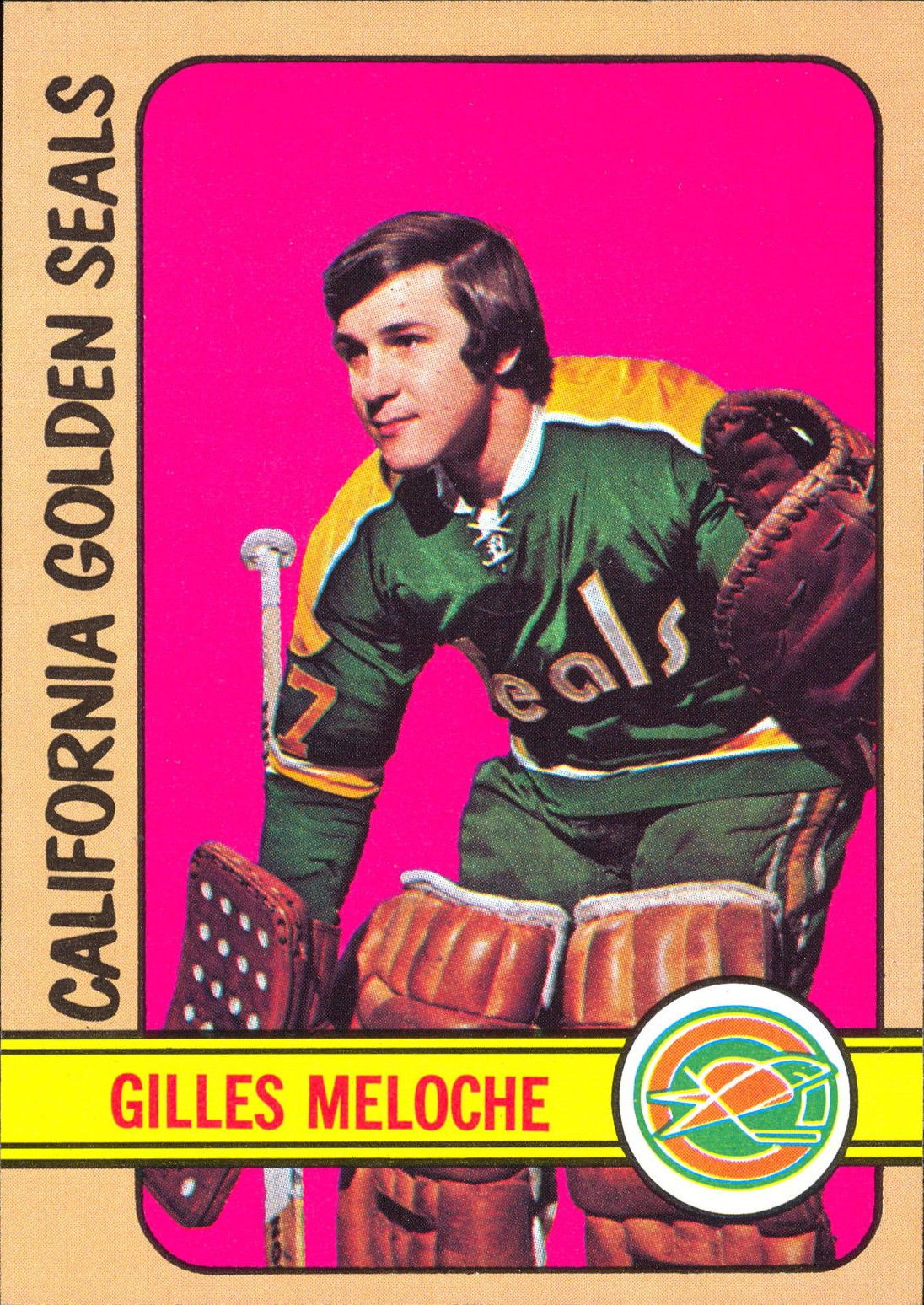 Lot Detail - 1975 Gilles Meloche California Golden Seals Game-Used Jersey