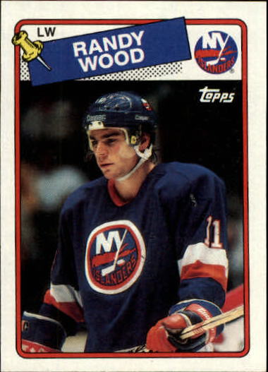  (CI) Randy Wood Hockey Card 1988-89 Panini Stickers 294 Randy  Wood : Collectibles & Fine Art