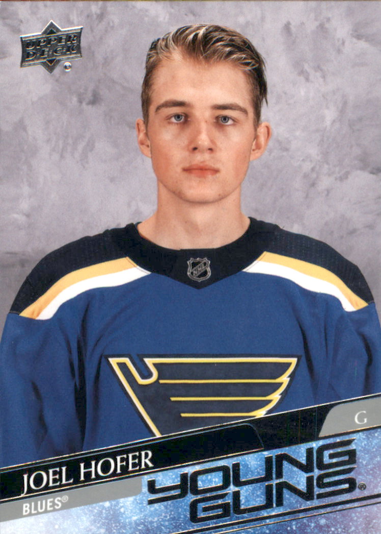 JOEL HOFER HOCKEY STATS AND PROFILE AT HOCKEYDB COM visual data 5